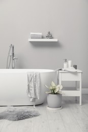 White tub and beautiful plant in bathroom, Interior design