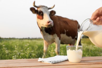 Photo of Closeup view of woman pouring milk into glass on wooden table and cow grazing in meadow