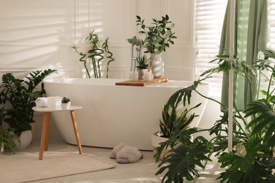 Stylish bathroom interior with white tub green houseplants