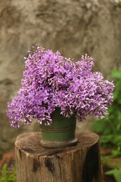 Beautiful lilac flowers in bucket on wooden stump