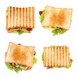 Image of Set of different yummy sandwiches on white background, top view