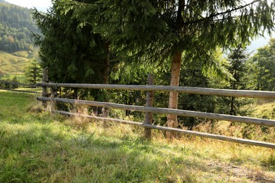 Beautiful view with wooden fence and conifer mountain forest on sunny day