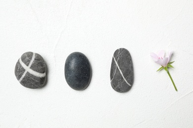 Photo of Spa stones and fresia flower on white table, flat lay