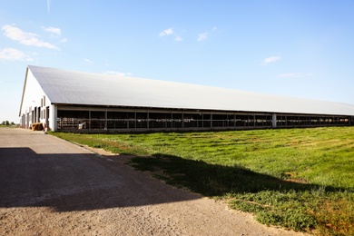 Photo of Beautiful view of cow house on sunny day. Animal husbandry