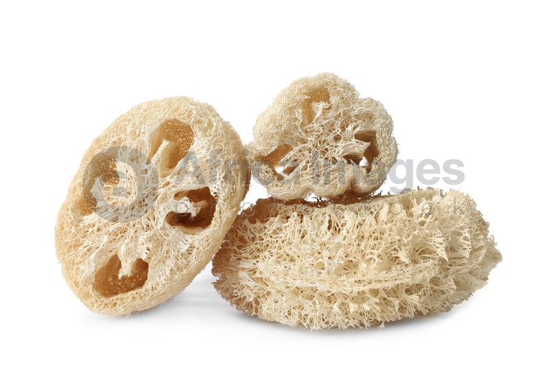 Photo of Natural shower loofah sponges on white background
