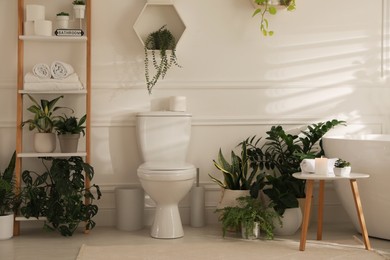 Stylish white bathroom interior with toilet bowl and green houseplants