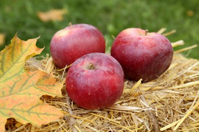 Delicious ripe apples and maple leaf on hay outdoors, closeup. Autumn harvest