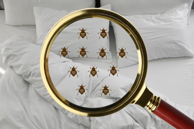 Magnifying glass detecting bed bugs in bedroom, closeup view