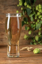 Glass of beer, fresh green hop and spikes on wooden table