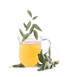 Fresh sage leaves falling into cup of freshly brewed tea on white background