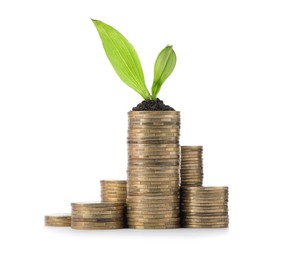 Stacks of coins and green plant on white background. Investment concept