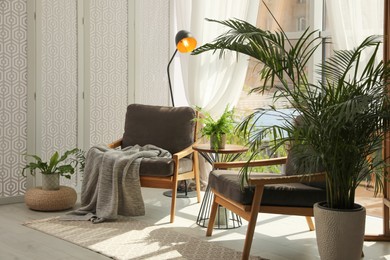 Indoor terrace interior with stylish furniture and houseplants