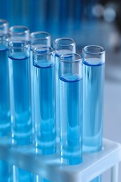 Test tubes with reagents in rack against blurred background, closeup. Laboratory analysis