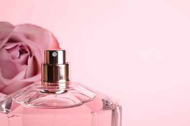 Bottle of perfume and blurred rose on background, closeup. Space for text