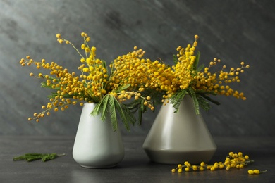 Beautiful mimosa flowers in vases on black background