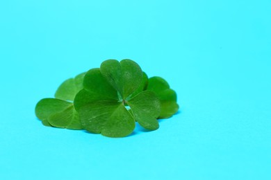 Beautiful green four leaves clover on light blue background