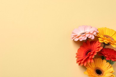 Beautiful colorful gerbera flowers on beige background, flat lay. Space for text