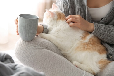 Woman with cute fluffy cat and tea on light background, closeup