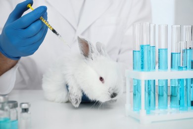 Scientist with syringe and rabbit in chemical laboratory, closeup. Animal testing