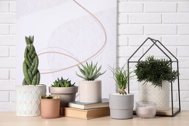 Different house plants in pots and decor on wooden table against white brick wall