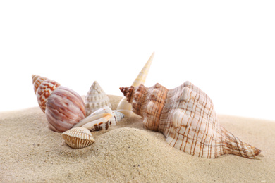 Beautiful exotic sea shells and sand on white background