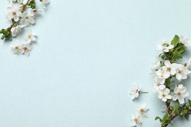 Blossoming spring tree branches as borders on light background, flat lay. Space for text