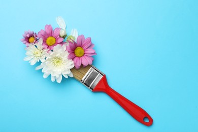 Brush painting with chrysanthemum flowers on light blue background, top view. Creative concept