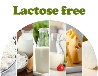 Image of Collage with photos of lactose free dairy products on white background