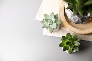 Beautiful succulents on light grey table, flat lay. Space for text