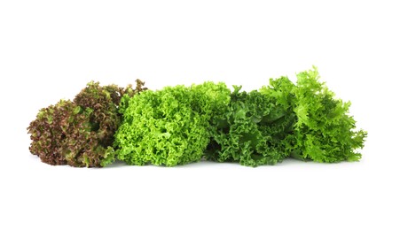 Different sorts of lettuce on white background