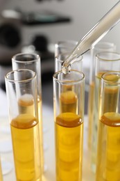 Photo of Dropping urine sample for analysis into tube in laboratory, closeup