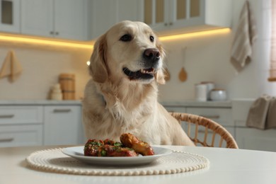 Photo of Cute hungry dog sitting in front of plate with fried meat indoors