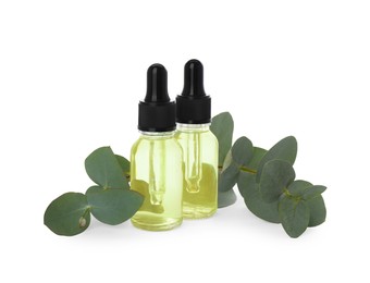 Bottles of eucalyptus essential oil and plant branches on white background