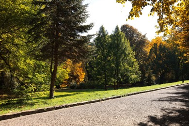 Pathway, trees and green grass in beautiful park on autumn day