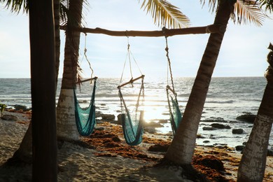 Photo of Empty hammocks among palm trees on sandy beach near sea