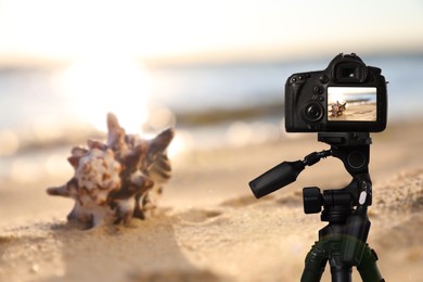 Taking photo of beautiful sandy beach and sea shell with camera mounted on tripod
