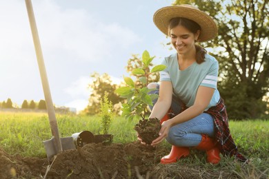 Photo of Happy young woman planting tree in countryside