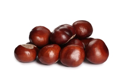 Photo of Pile of horse chestnuts isolated on white
