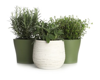 Pots with thyme, mint and rosemary on white background