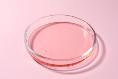 Photo of Petri dish with liquid on pale pink background, closeup