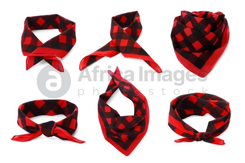 Image of Set with red and black checkered bandanas on white background
