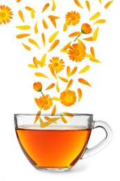 Beautiful calendula flowers and petals falling into cup of freshly brewed tea on white background