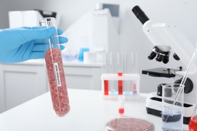 Scientist holding test tube with minced cultured meat in laboratory, closeup. Space for text