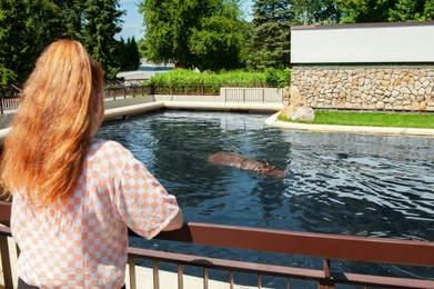Little girl watching wild hippopotamus near pond in zoo, back view