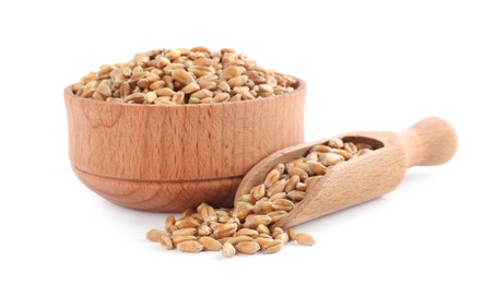 Wooden bowl and scoop with wheat grains on white background