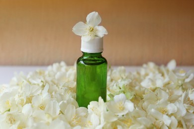 Bottle of jasmine essential oil on white flowers, closeup