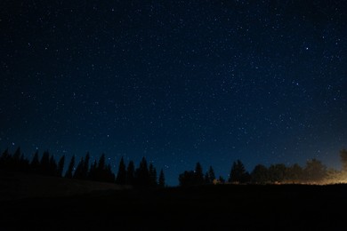 Beautiful view of dark forest under starry sky at night