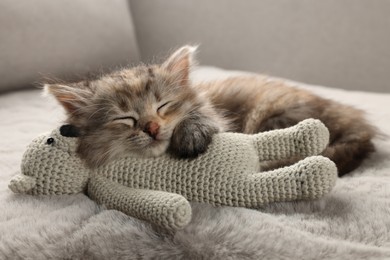 Cute kitten sleeping with toy on fuzzy grey blanket