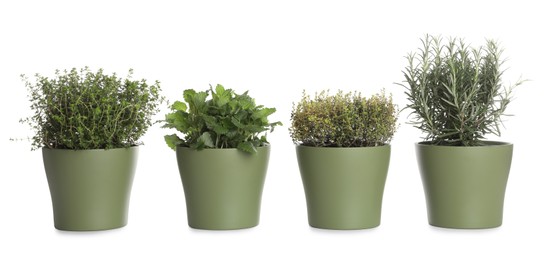 Photo of Pots with thyme, mint and rosemary on white background