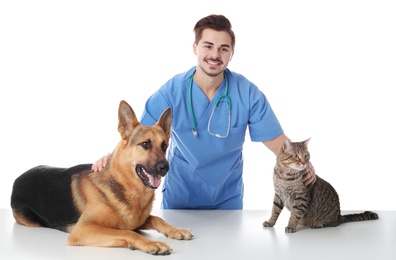 Veterinarian doc with dog and cat on white background